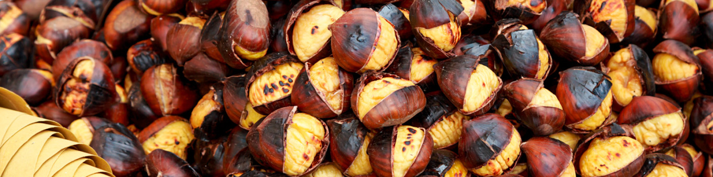 Warm Corners of the City