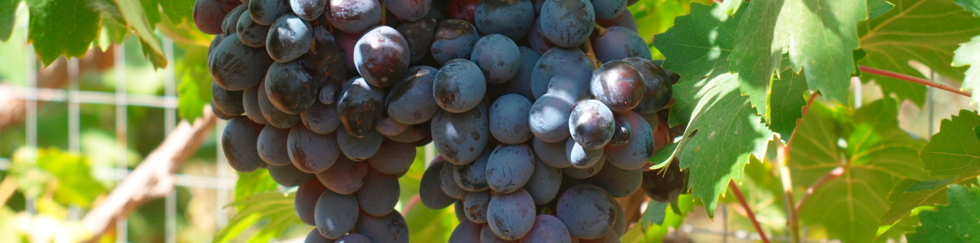 A Sweet September, Sweeter Memories