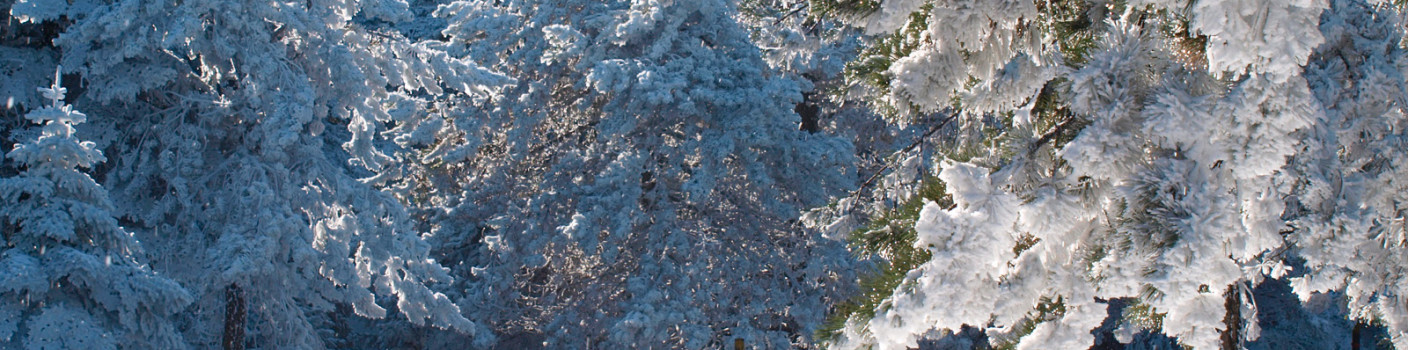 Parnitha: A Snowy Escape