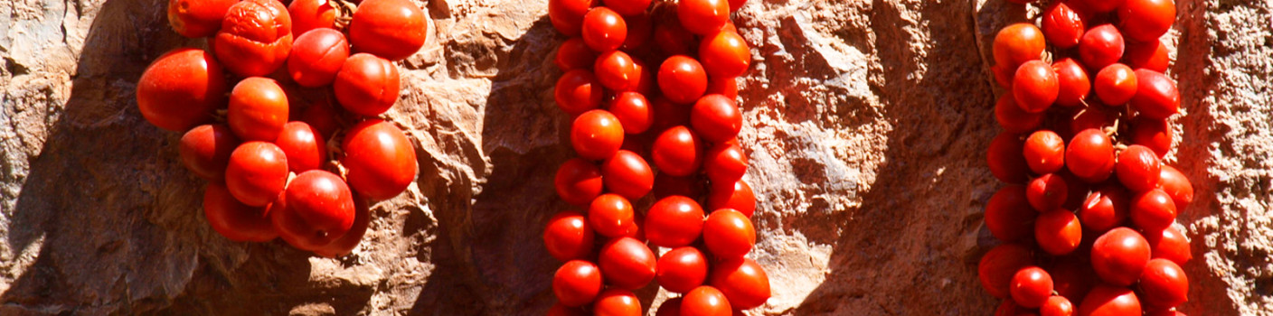 A Summer Tied with a Thread