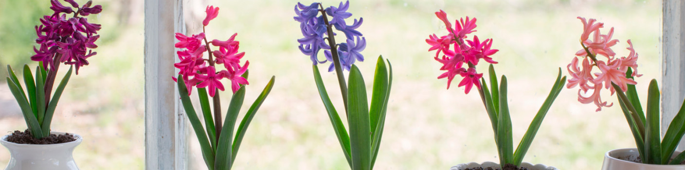 Get inspired: Spring Decor Ideas